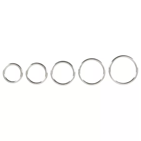 Bad Kitty - σετ μεταλλικοί δακτύλιοι πέους - 5 τεμαχίων