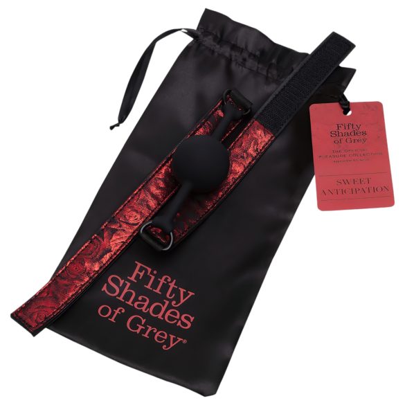 Fifty Shades of Grey - ερωτικό φίμωτρο στόματος - δέρμα μαύρο κόκκινο