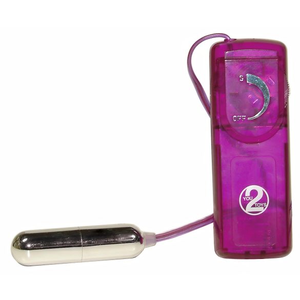 You2Toys - σετ δονητών - 12 τεμαχίων - ερωτικό δώρο