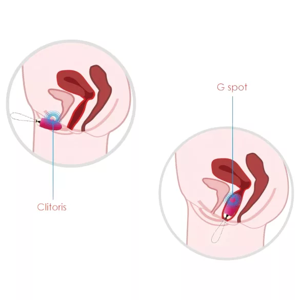 Svakom Elva - δονητικό αυγό με τηλεχειριστήριο - επαναφορτιζόμενο - κόκκινο
