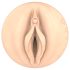 Fleshlight - Ονειρική Σάσα Νάκαμότο Ecchi αιδοίο (φυσικό)