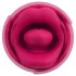 You2Toys Oral Fun - γλωσσικός δονητής κλειτορίδας (ροζ)
