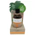 Coconutoil - βιολογικό λάδι μαυρίσματος - 80ml