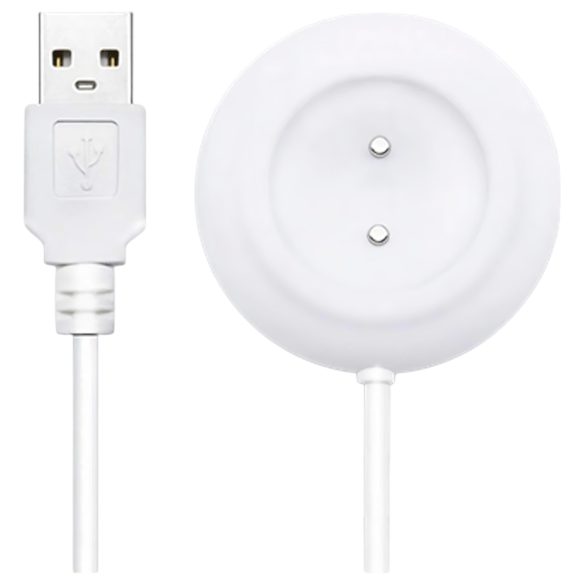 Καλώδιο Φόρτισης USB Lovense Ambi με Μαγνήτη (Λευκό)