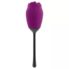   Playboy - δονητής με γλώσσα ροζέτα - αδιάβροχος, επαναφορτιζόμενος - μωβ