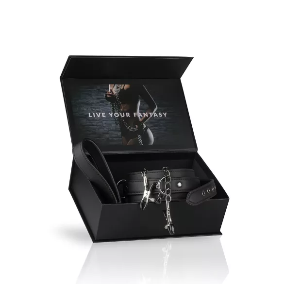 Easytoys - σετ με μανταλάκια θηλών, κολάρο και λουρί - 4 τεμάχια