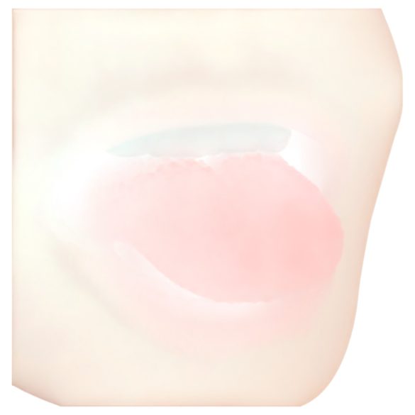 FWB - στοματικό και κολπικό ομοίωμα 2 σε 1 - φυσικό χρώμα