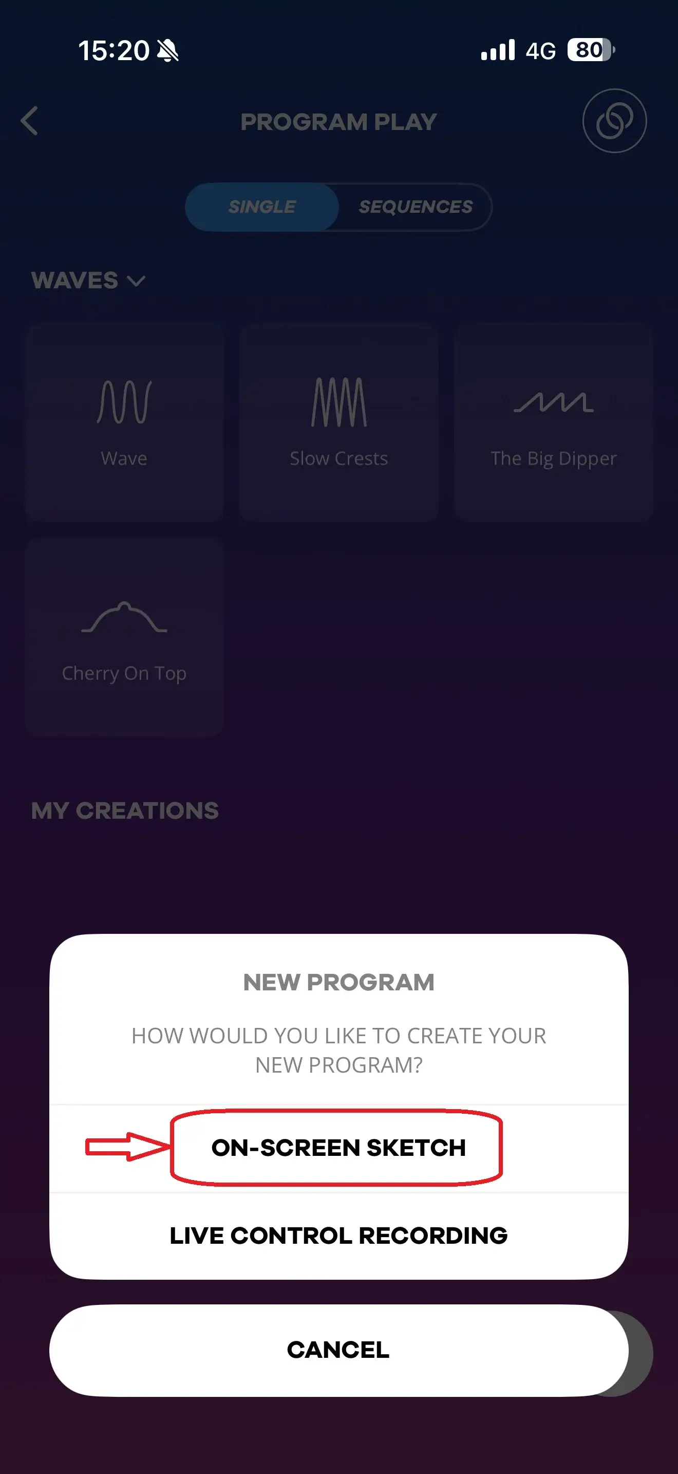Satisfyer Connect App: your step-by-step guide step 7 | Desirel Sex Shop